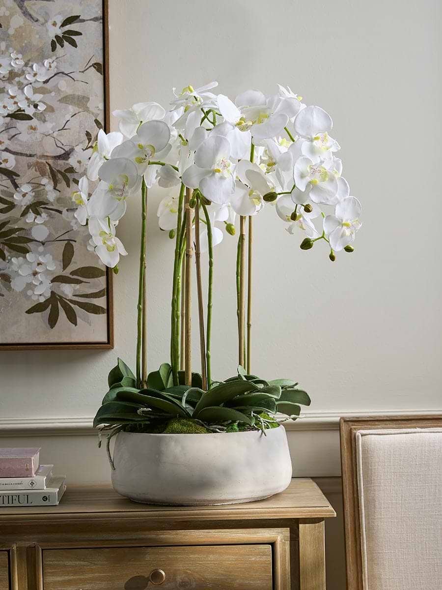 Faux Potted Wild Orchid - Large