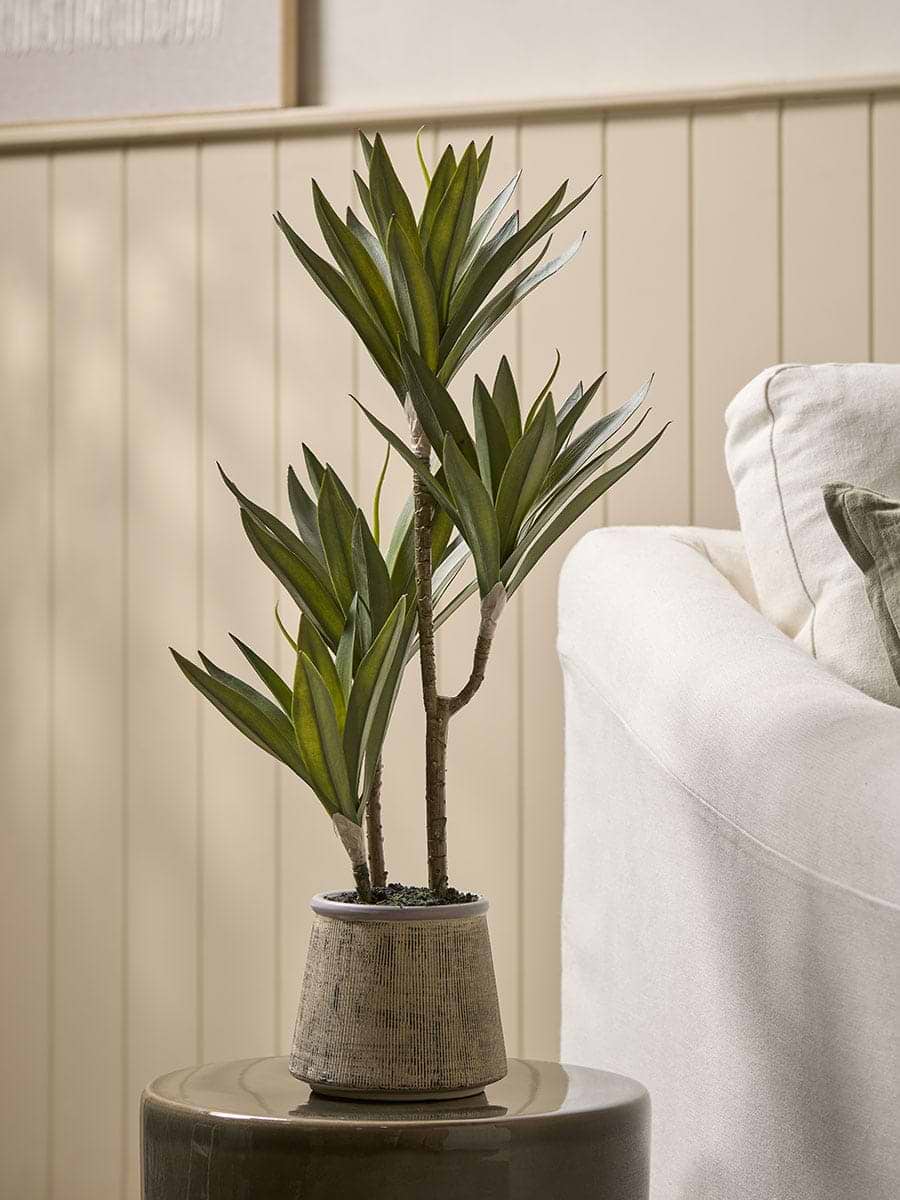 Faux Ceramic Potted Yucca