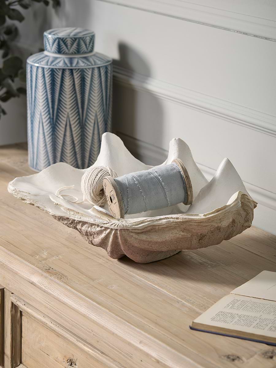 Decorative Coral Shell