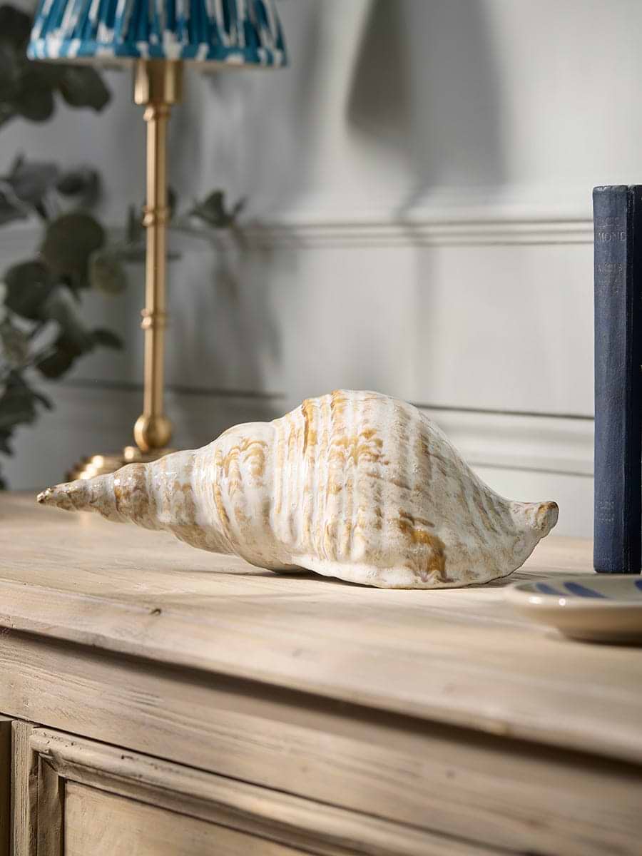 Decorative Conical Shell