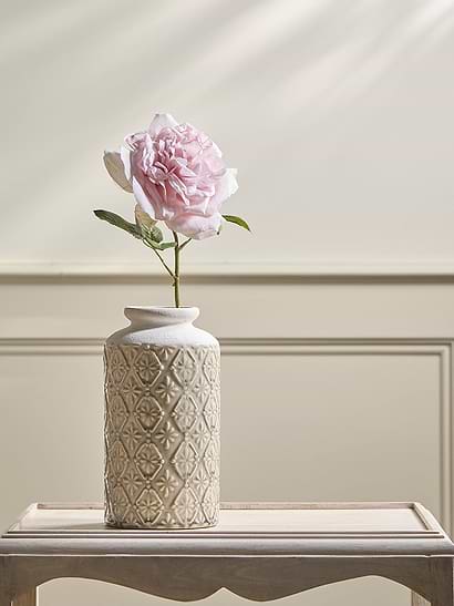 Rose Stem - Pink