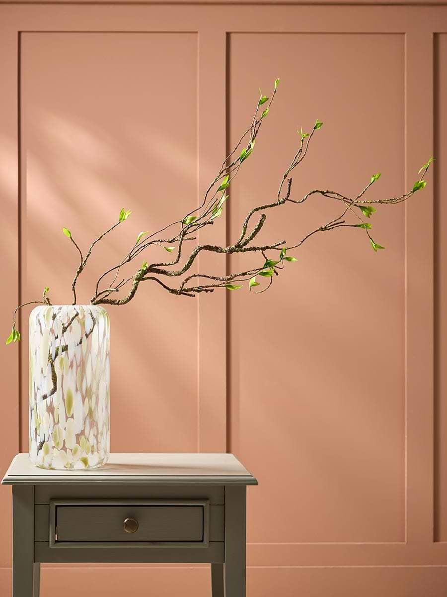 Willow Branch