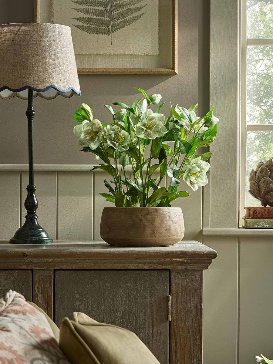 Faux Potted Hellebore - Green