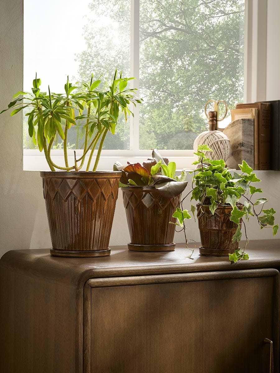 Three Lattice Glazed Planters