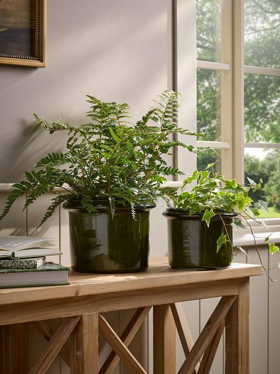 Two Green Rimmed Metal Planters