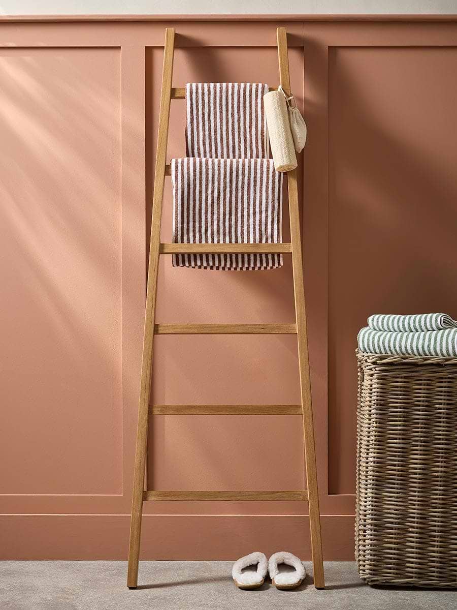 Teak Ladder Shelf