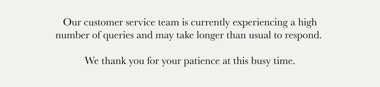 Customer service update: high number of queries may cause delays in response time