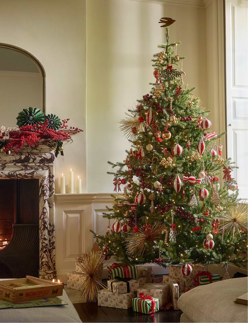 Christmas Kin Image