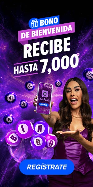 bingo-casino-online