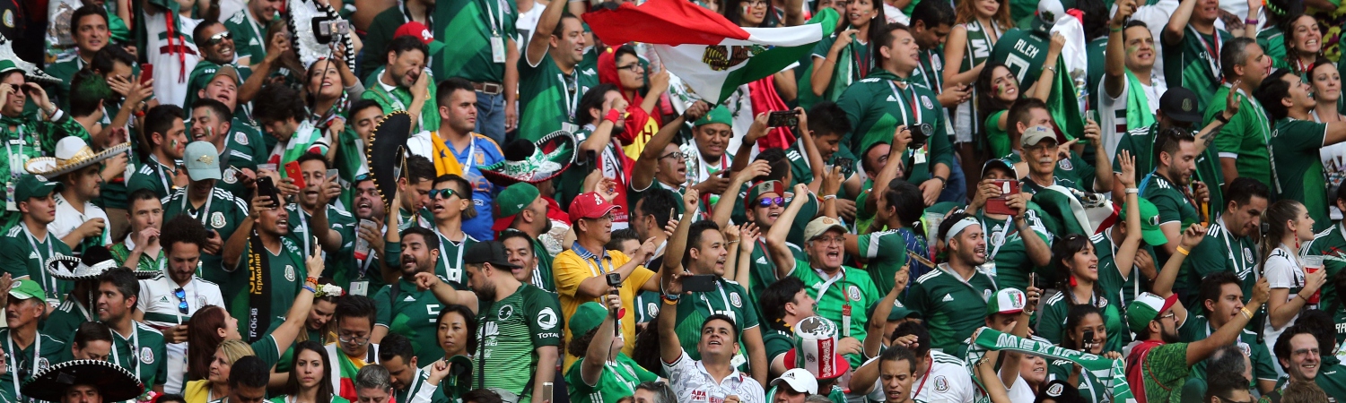 fanaticos del equipo Mexicano - Seleccion Mexicana de Futbol - gradas