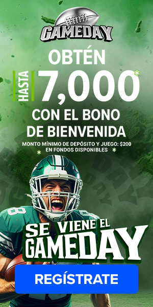 game day SEO-300X600