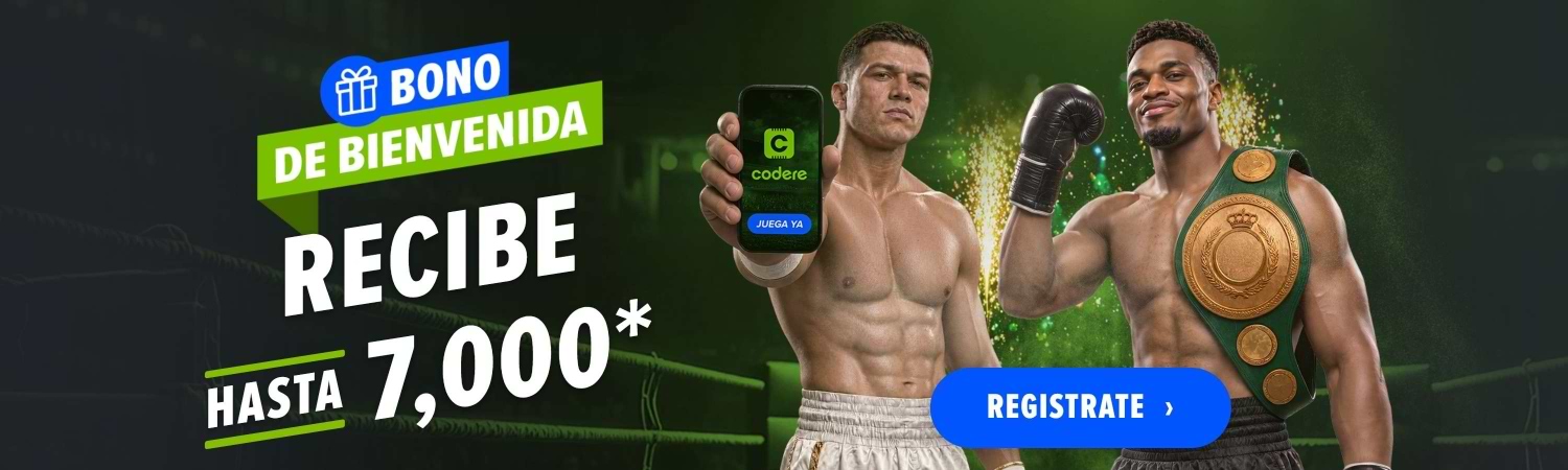 SEO-1500x450 + MX WB H2-CaneloBoxing