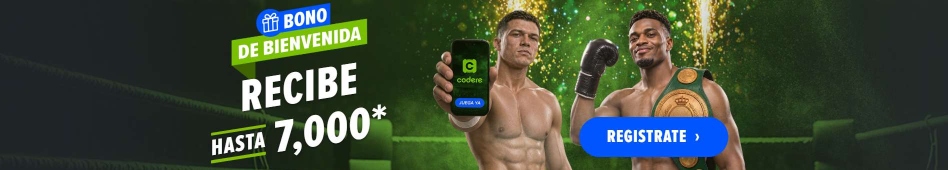 SEO-948x170 + MX WB H2-CaneloBoxing