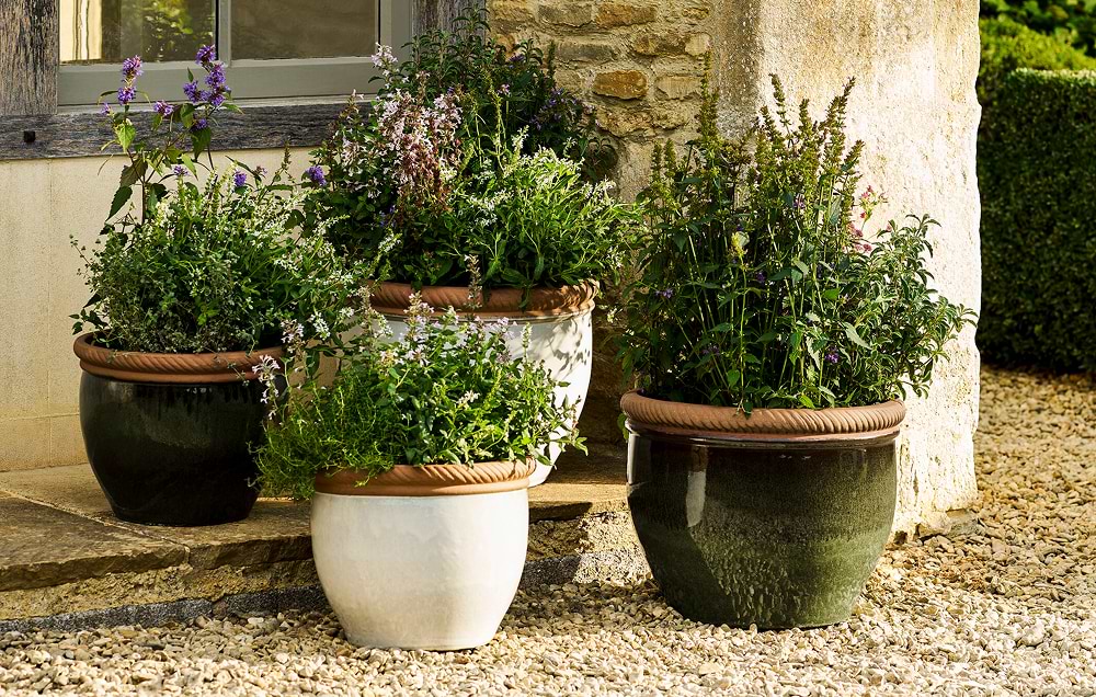 Shop Garden at Garden Trading