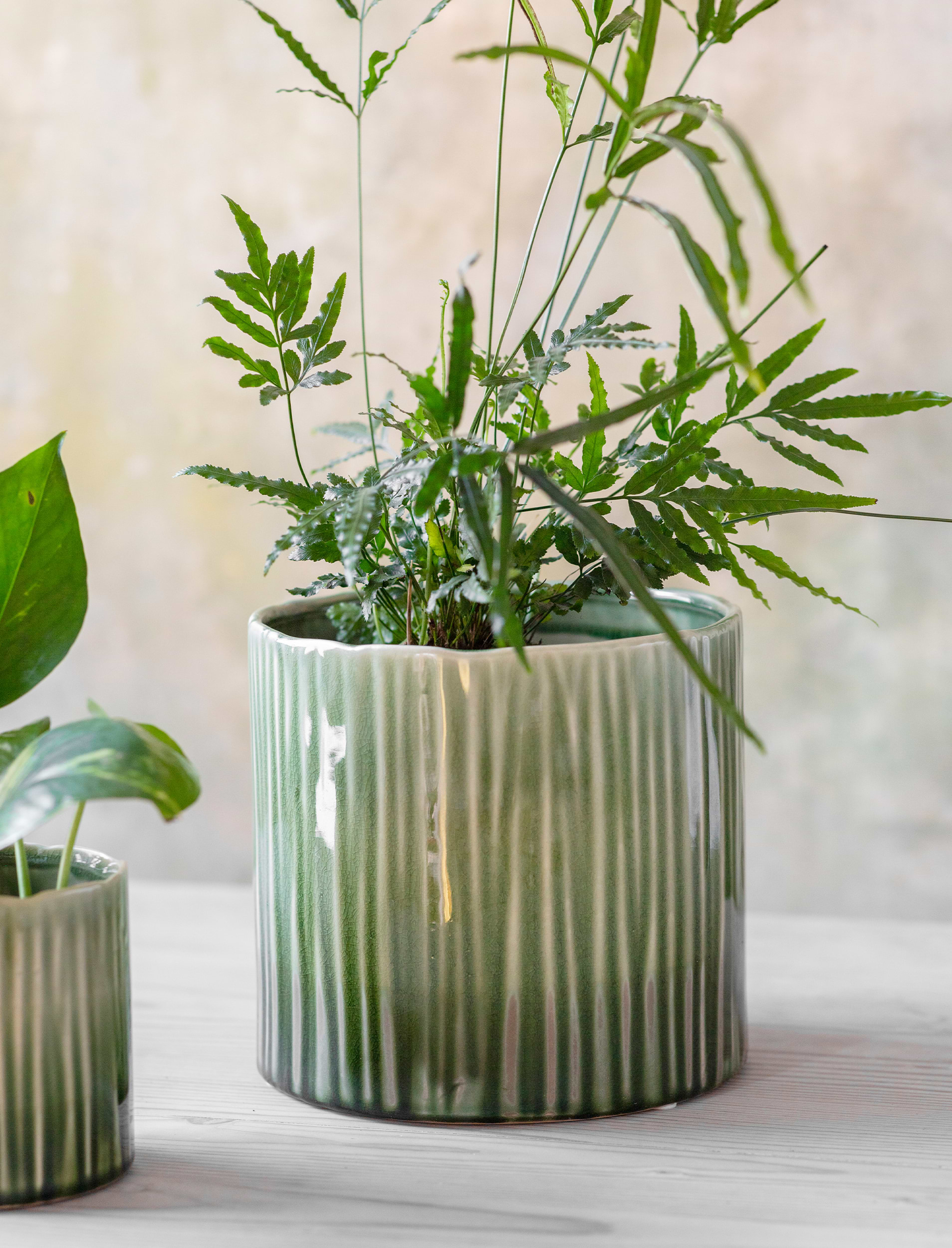 Nettleton Pot 19cm - Ceramic, Green | Garden Trading
