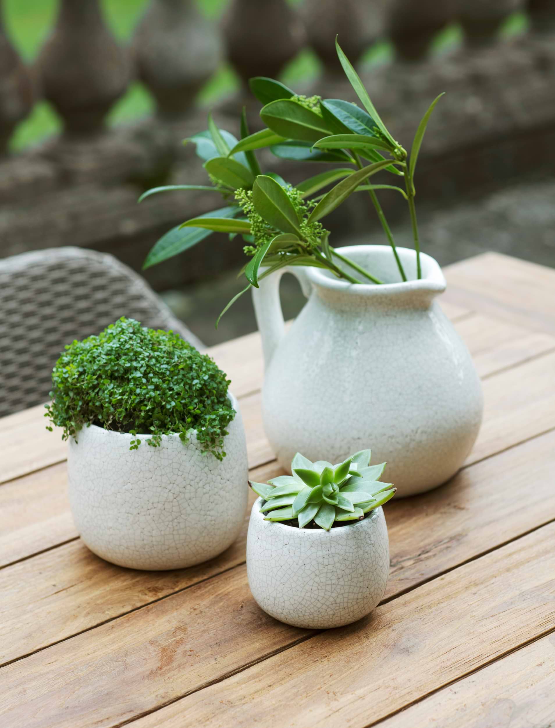 SRL BRIMTYPE PLANT POT-S valiem カタチ製作所 Cas Plant Pot - Anthracite - Quality Plant Pots | Hortology