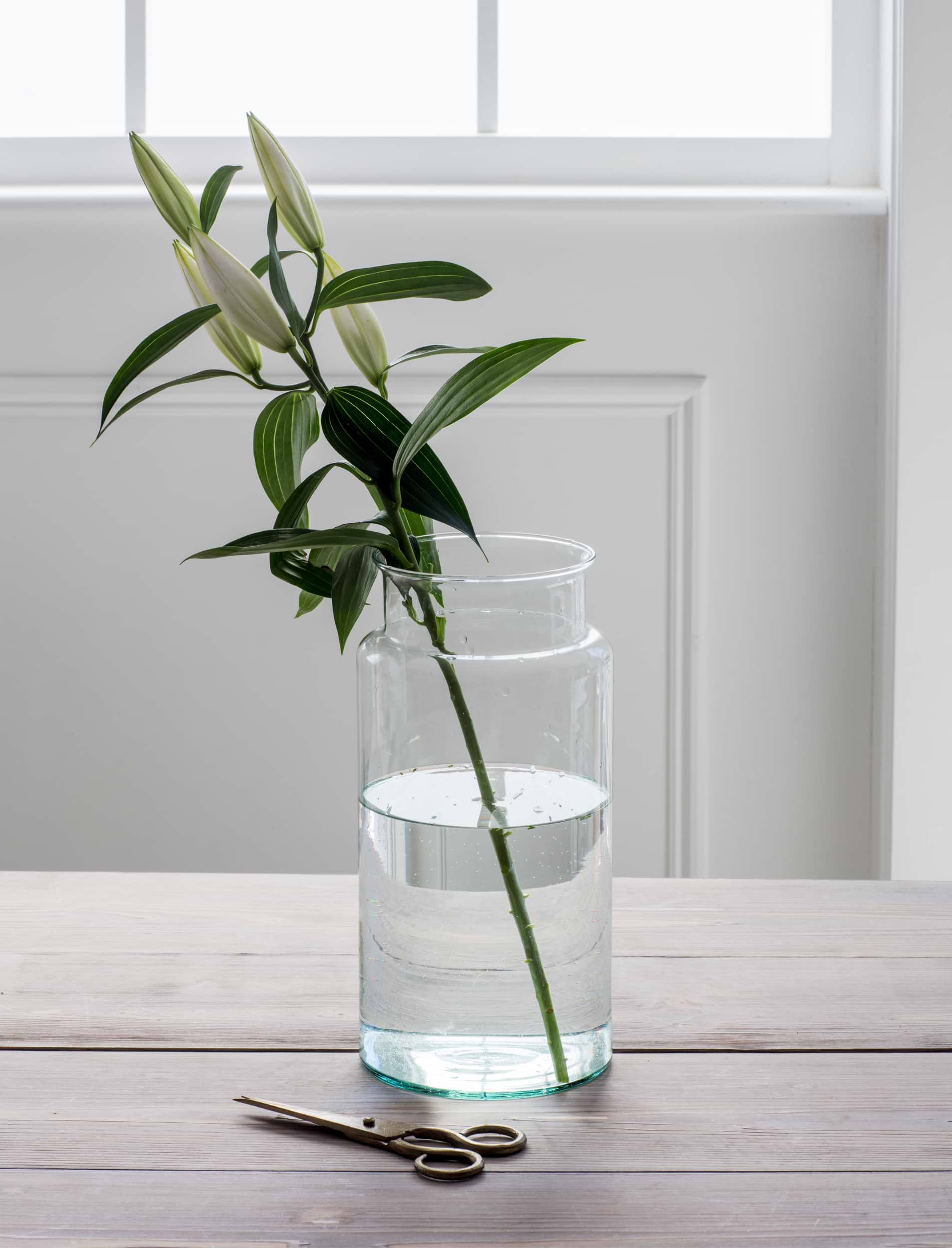 Broadwell Vase Tall - Recycled Glass, Clear | Garden Trading