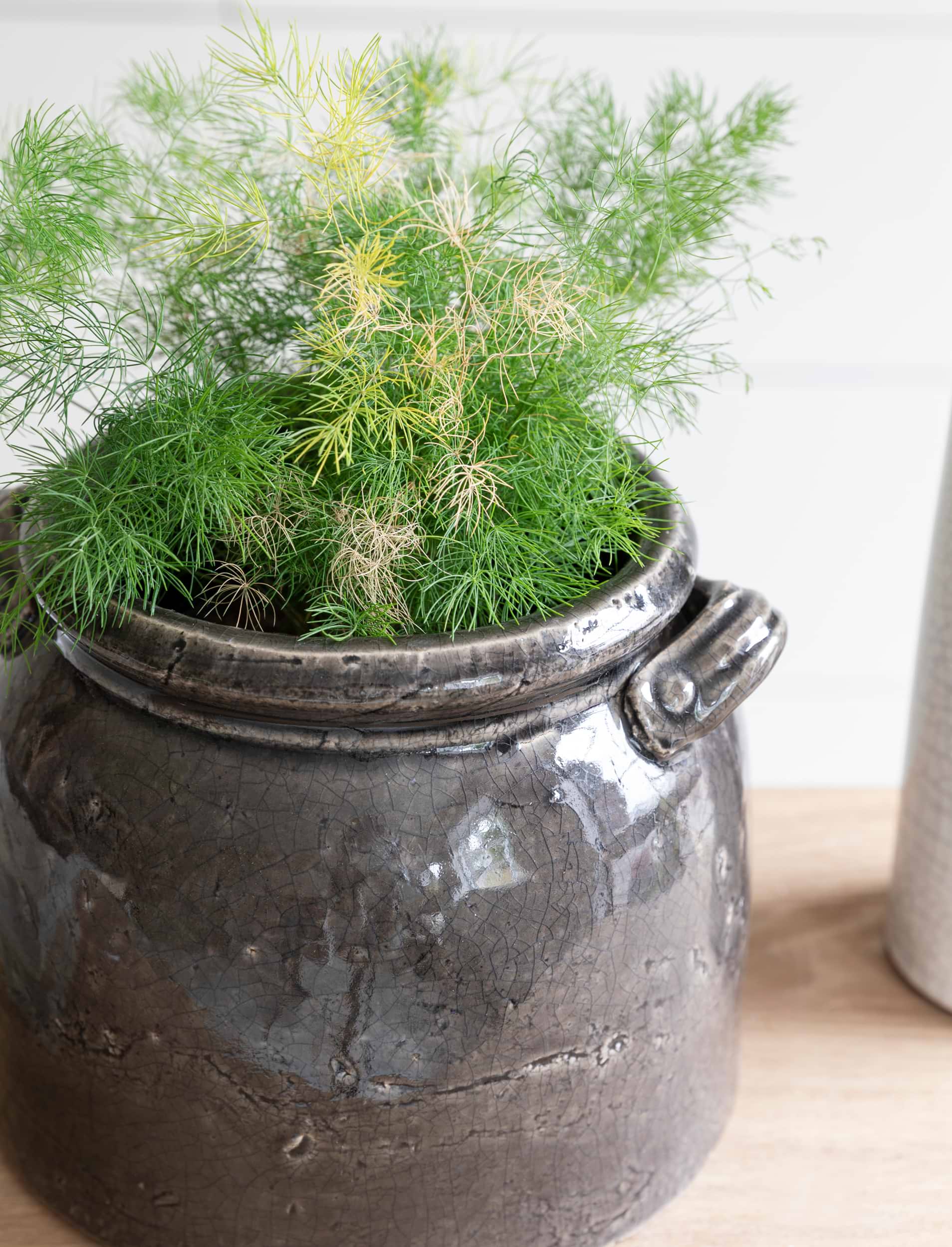 Ravello Pot With Handles 21cm - Stoneware, Charcoal