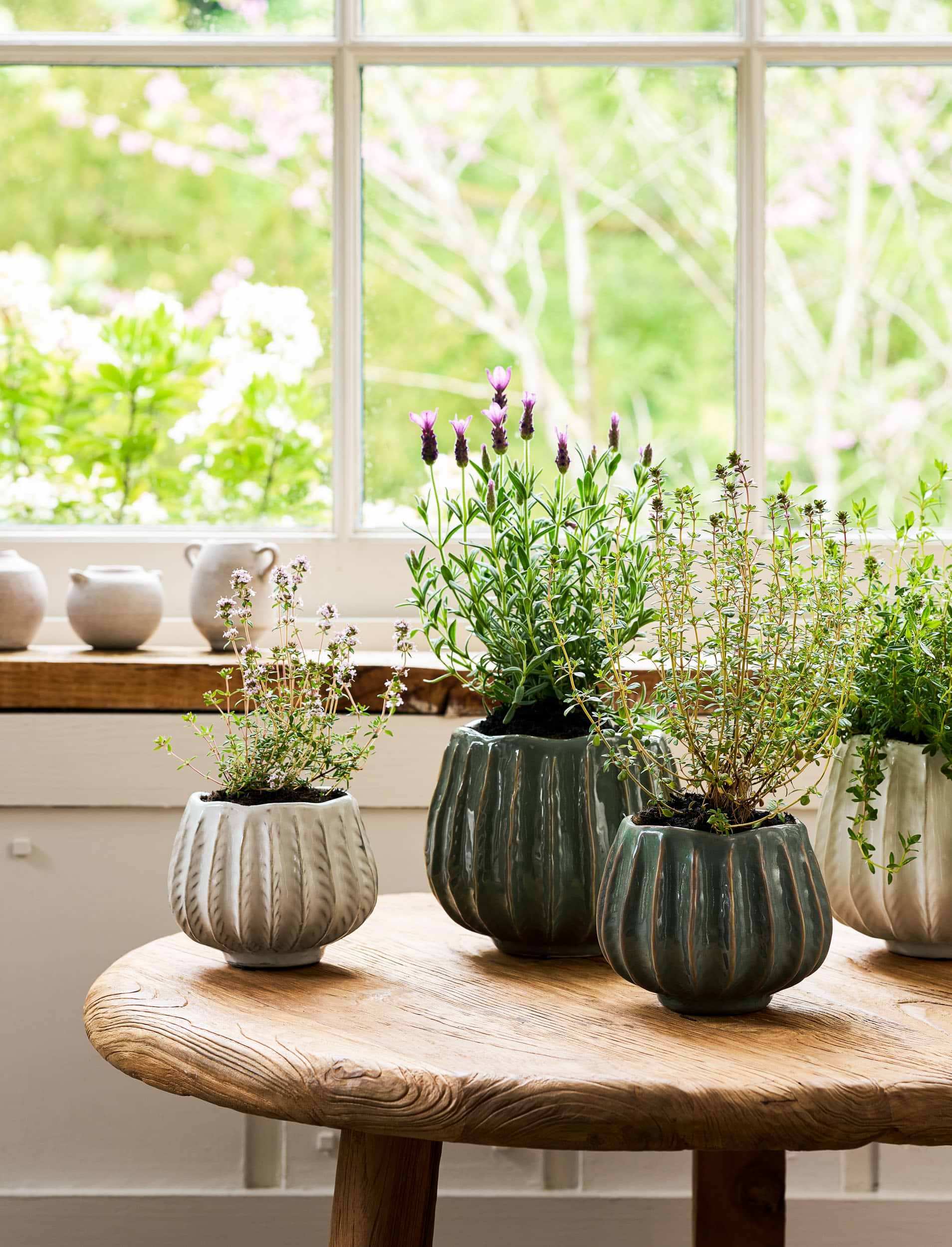 Osmington Pot 14cm White | Garden Trading