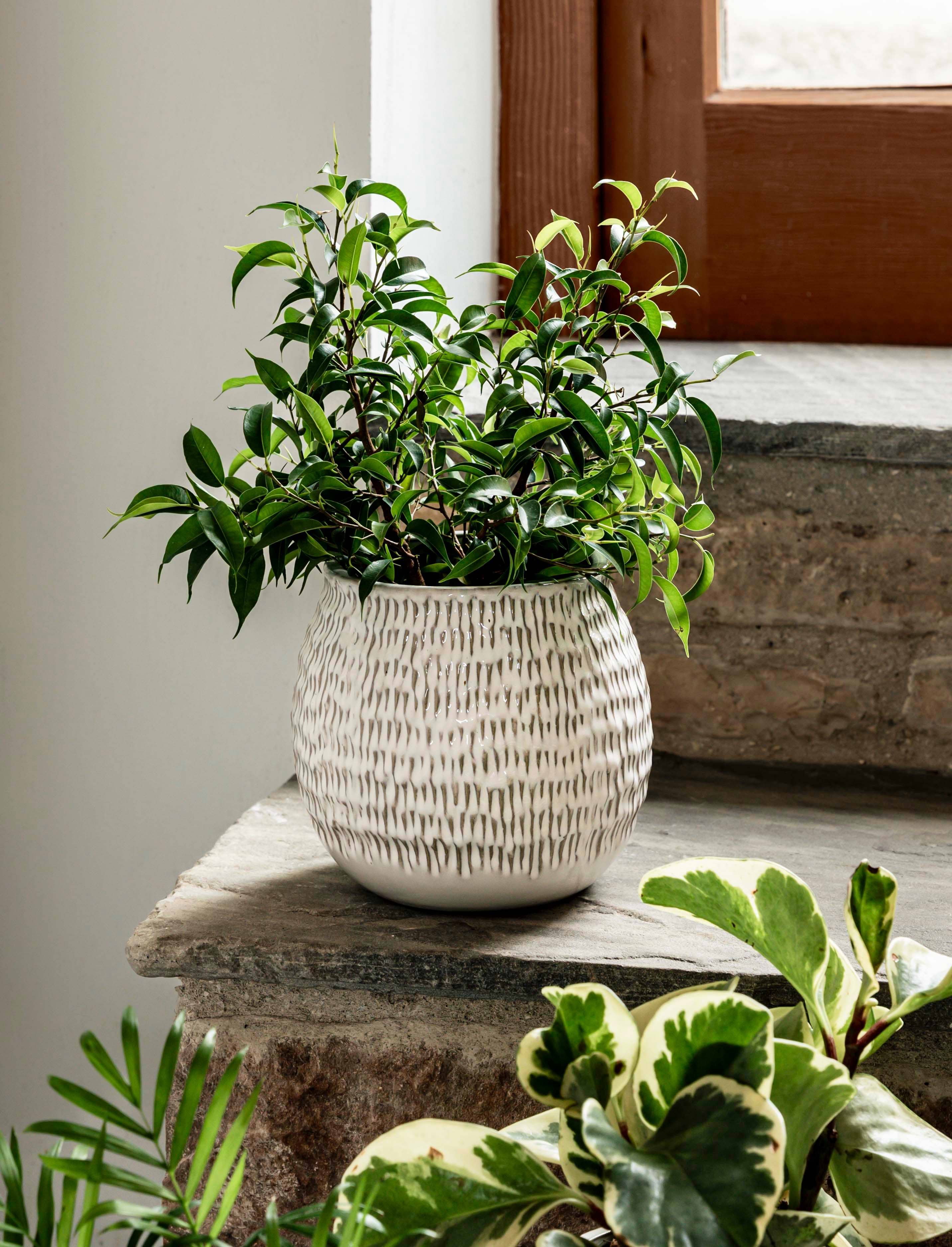 Winkleigh Pot 18cm White | Garden Trading