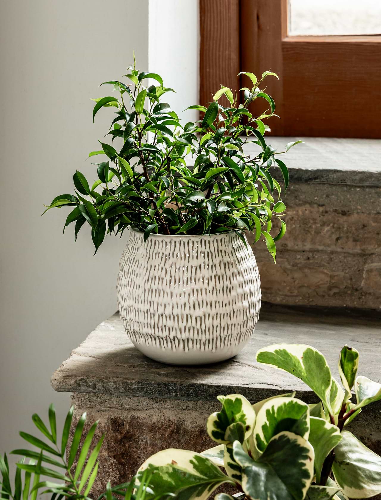 Winkleigh Pot 18cm - Stoneware, White | Garden Trading