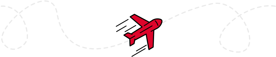 fly