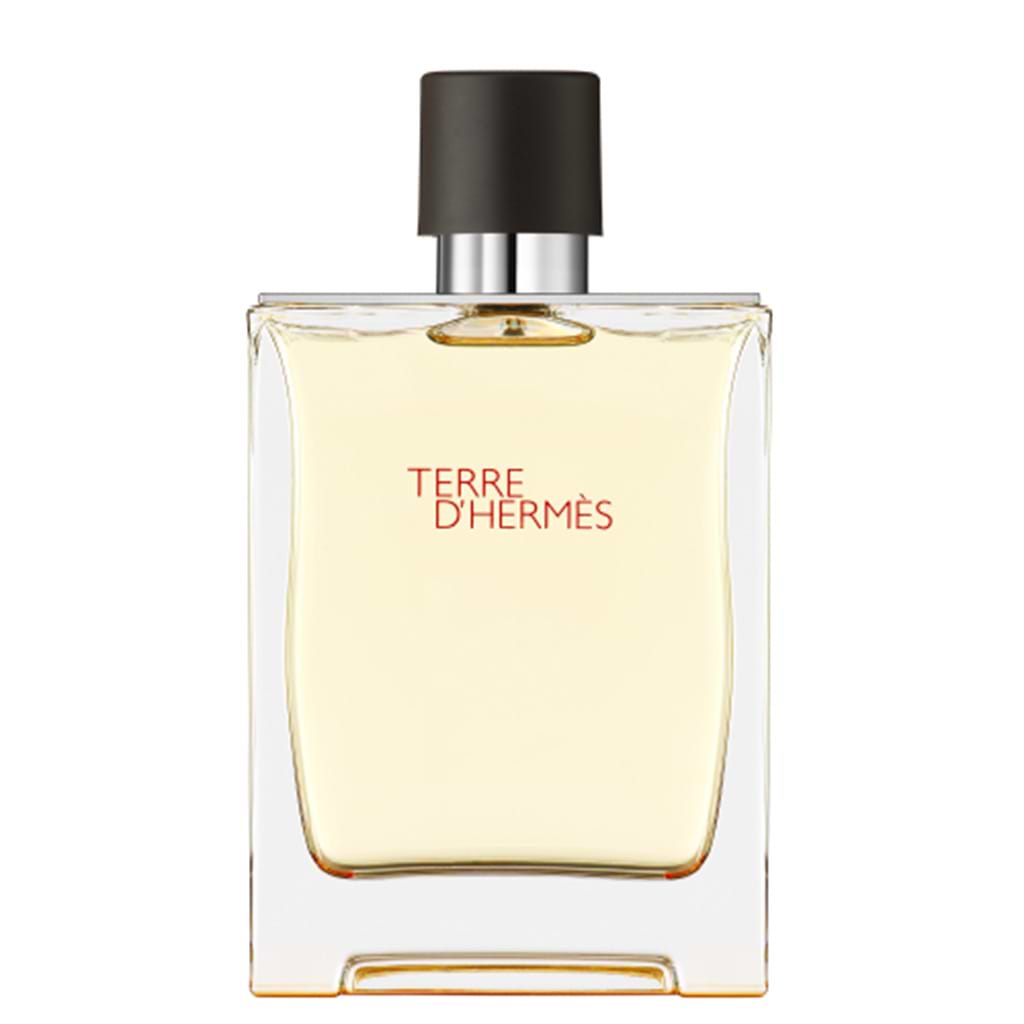 Hermes Terre D'Hermes Eau de Toilette Spray 200ml - HERMES - Duty Free