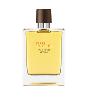 Hermes Terre D'hermes Eau de Parfum Eau Intense Vetiver 100ml - HERMES - Duty Free Hermes Terre D'hermes Eau de Parfum Eau Intense Vetiver 100ml - HERMES - Duty Free