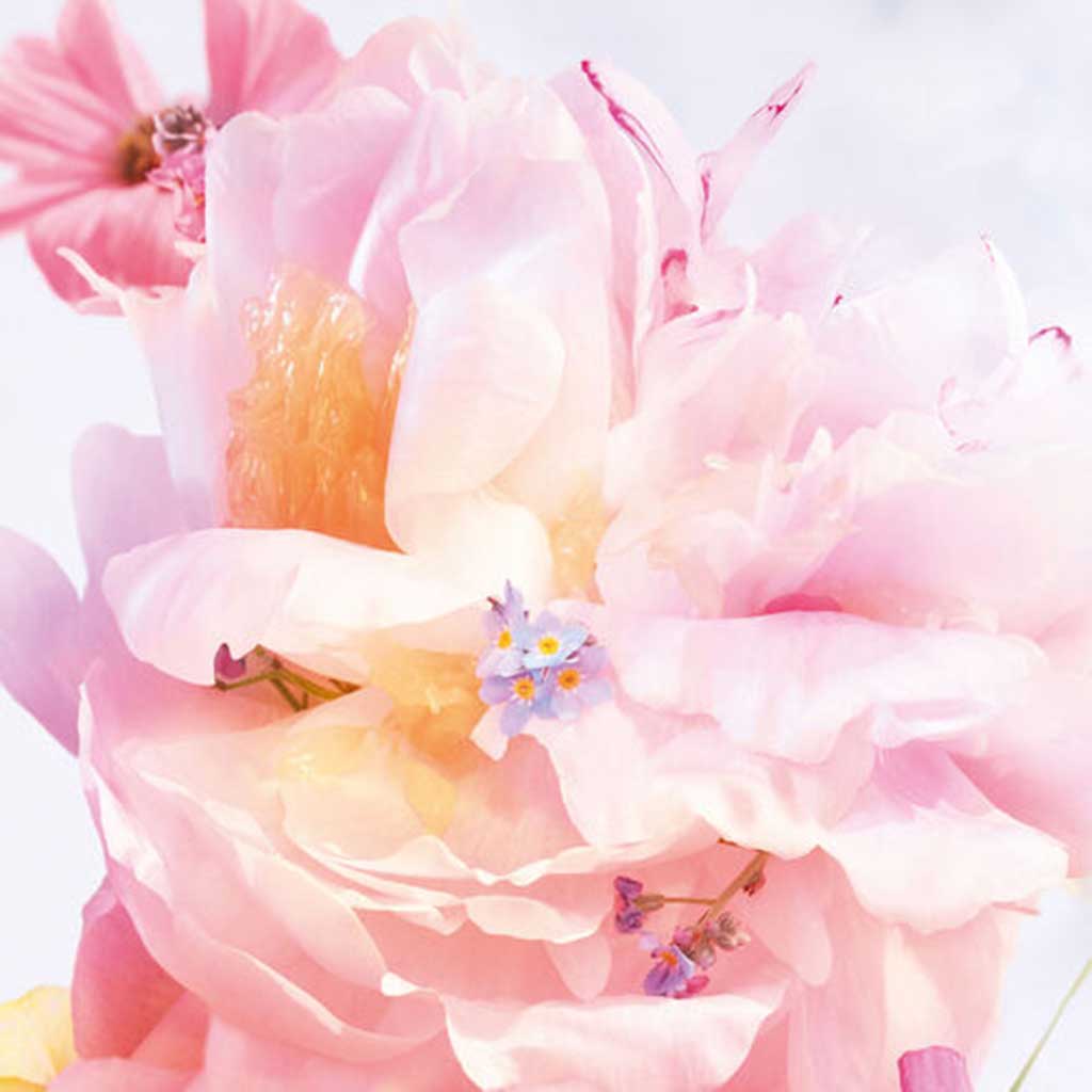 Dior Miss Dior Blooming Bouquet Edp 20ml - DIOR - Duty Free