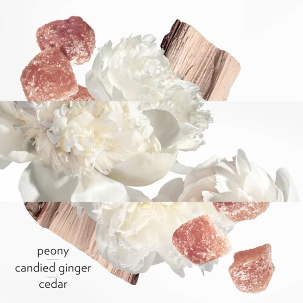 Hermes Twilly Ginger Edp - HERMES - Duty Free
