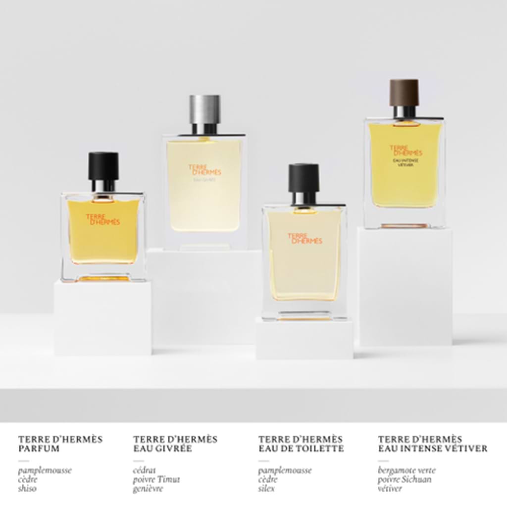 Hermes Terre D'Hermes Eau de Parfum Eau Givree 50ml - HERMES - Duty Free