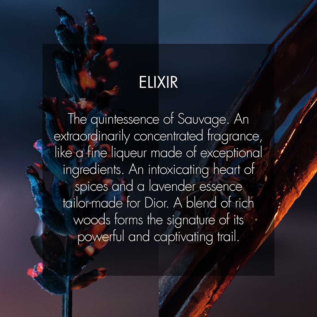 Dior Sauvage Elixir Edp - DIOR - Duty Free