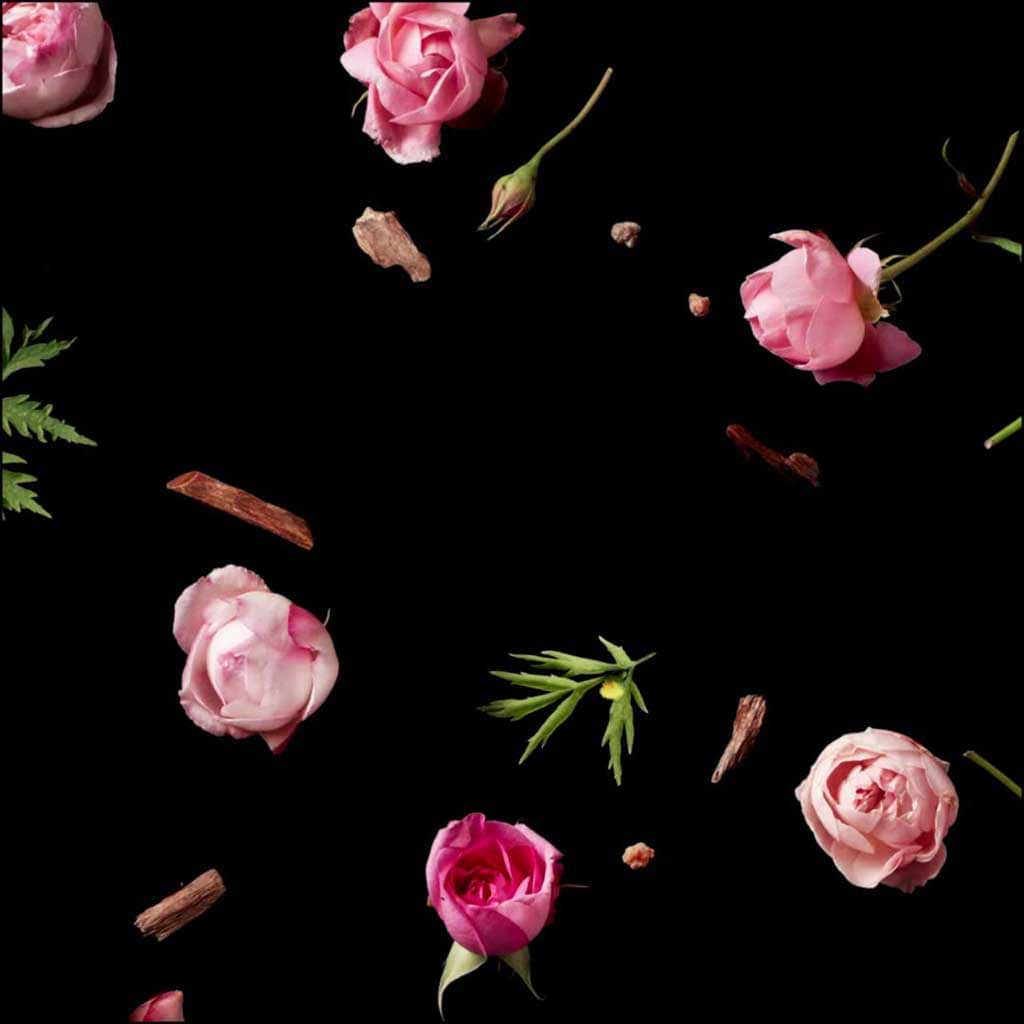 Gucci The Alchemist's Garden A Reason To Love Edp 100ml - GUCCI - Duty Free