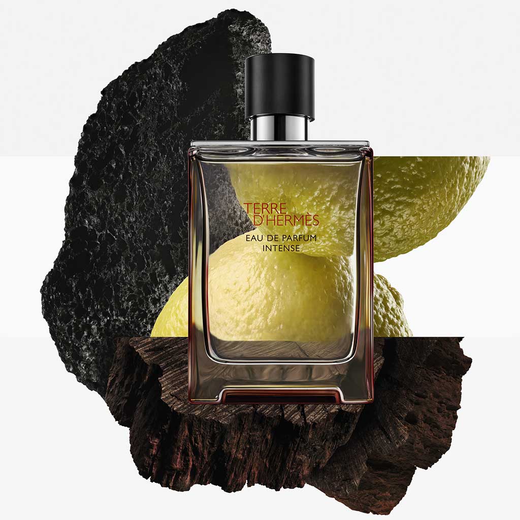 Hermes Terre D'Herms Intense Edp 100ml - HERMES - Duty Free