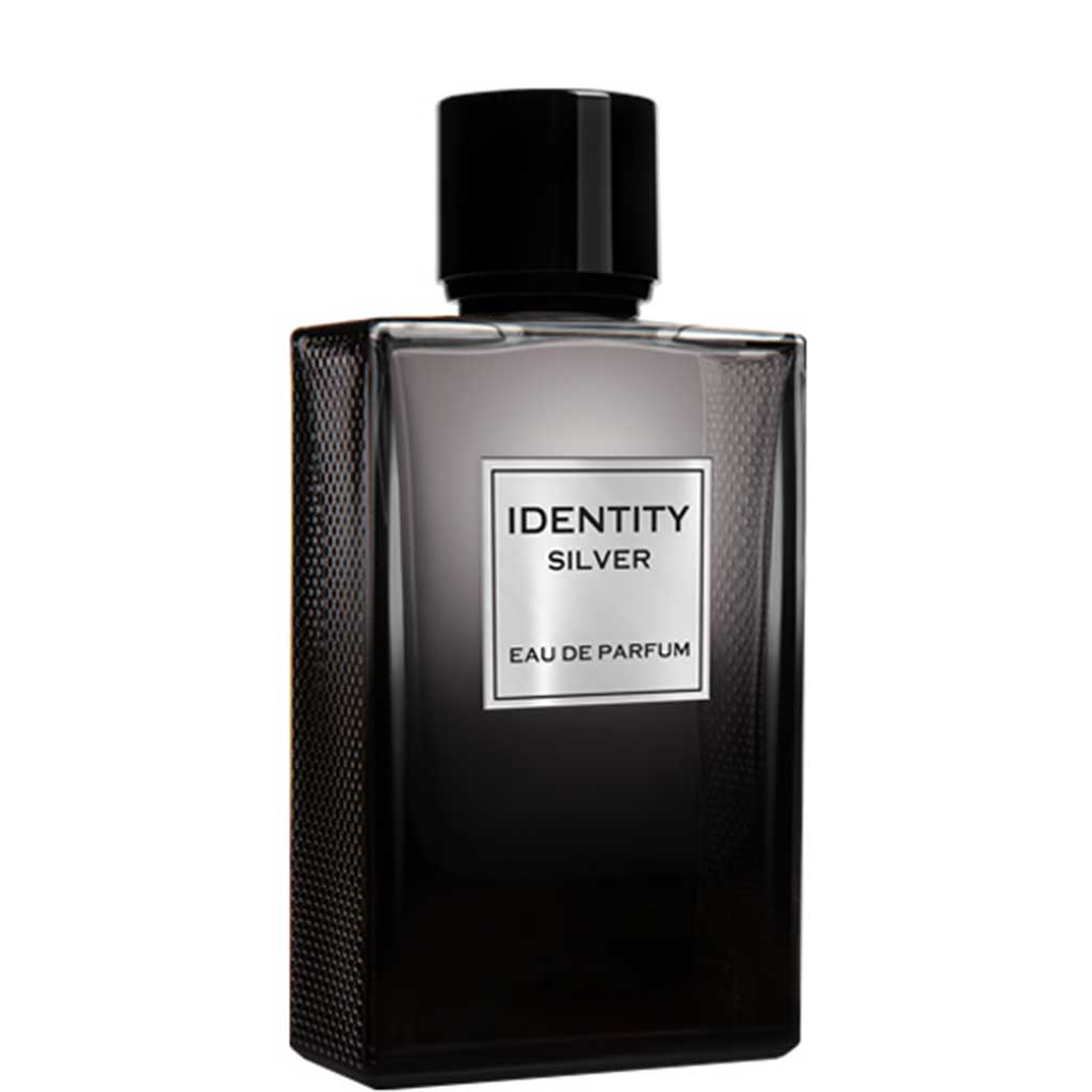 GA-DE Identity Silver Edp 100ml - GA-DE - Duty Free