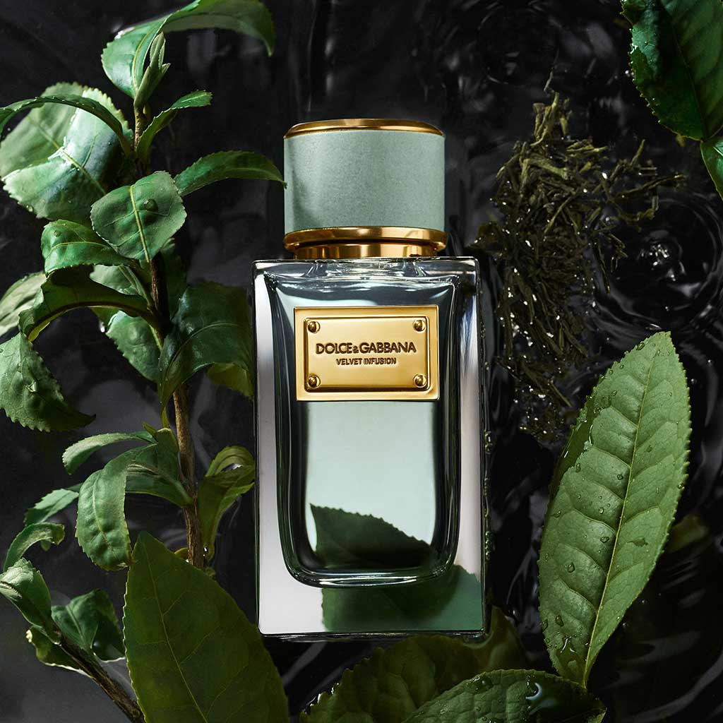 Dolce & Gabbana Velvet Collection Infusion Edp 100ml - DOLCE & GABBANA - Duty Free