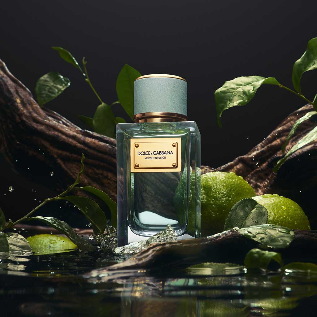 Dolce & Gabbana Velvet Collection Infusion Edp 100ml - DOLCE & GABBANA - Duty Free