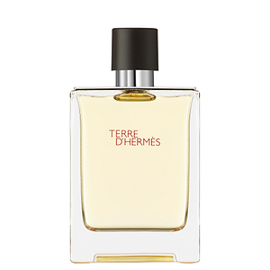 Hermes Terre D'Hermes Eau de Toilette 100ml - HERMES - Duty Free Hermes Terre D'Hermes Eau de Toilette 100ml - HERMES - Duty Free