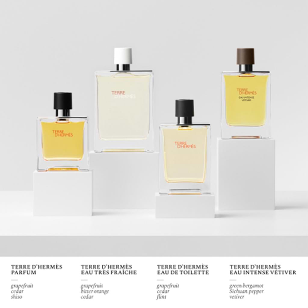 Hermes Terre D'Hermes Eau de Toilette 100ml - HERMES - Duty Free