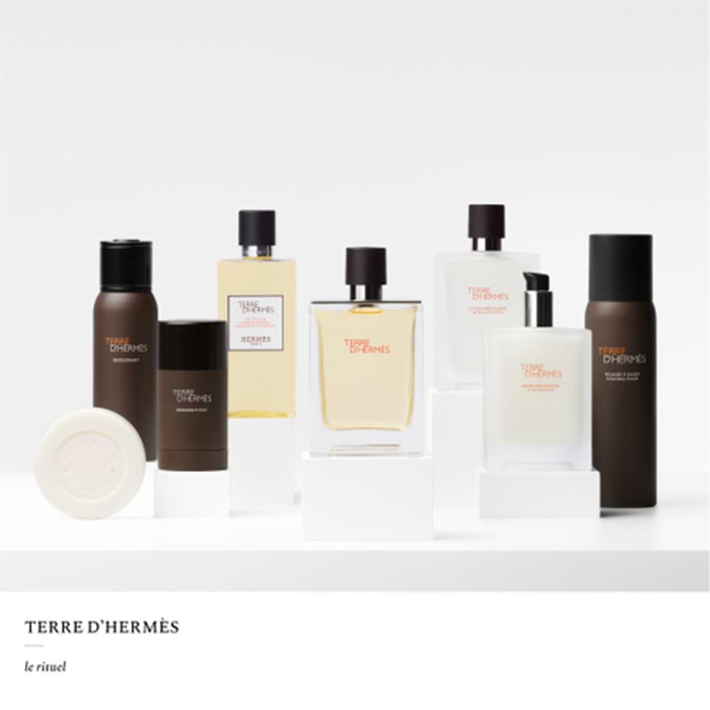 Hermes Terre D'Hermes Eau de Toilette 100ml - HERMES - Duty Free
