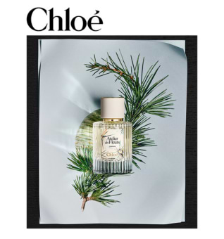  גלו את המהדורה המוגבלת של Cedrus בעיצוב חדש מבית Chloé article image