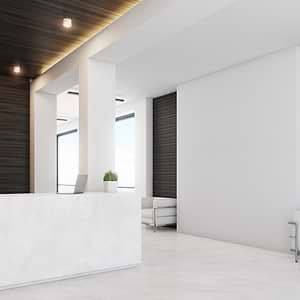 Arenaria Ivory Structured Porcelain Slab