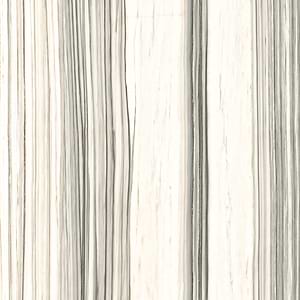Aesthetica Zebrino Polished Porcelain Slab