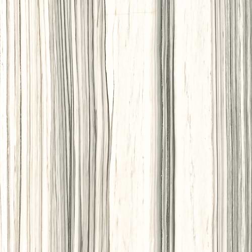 Aesthetic Zebrino Slab Matte 48X109 1 Image 01 Copy