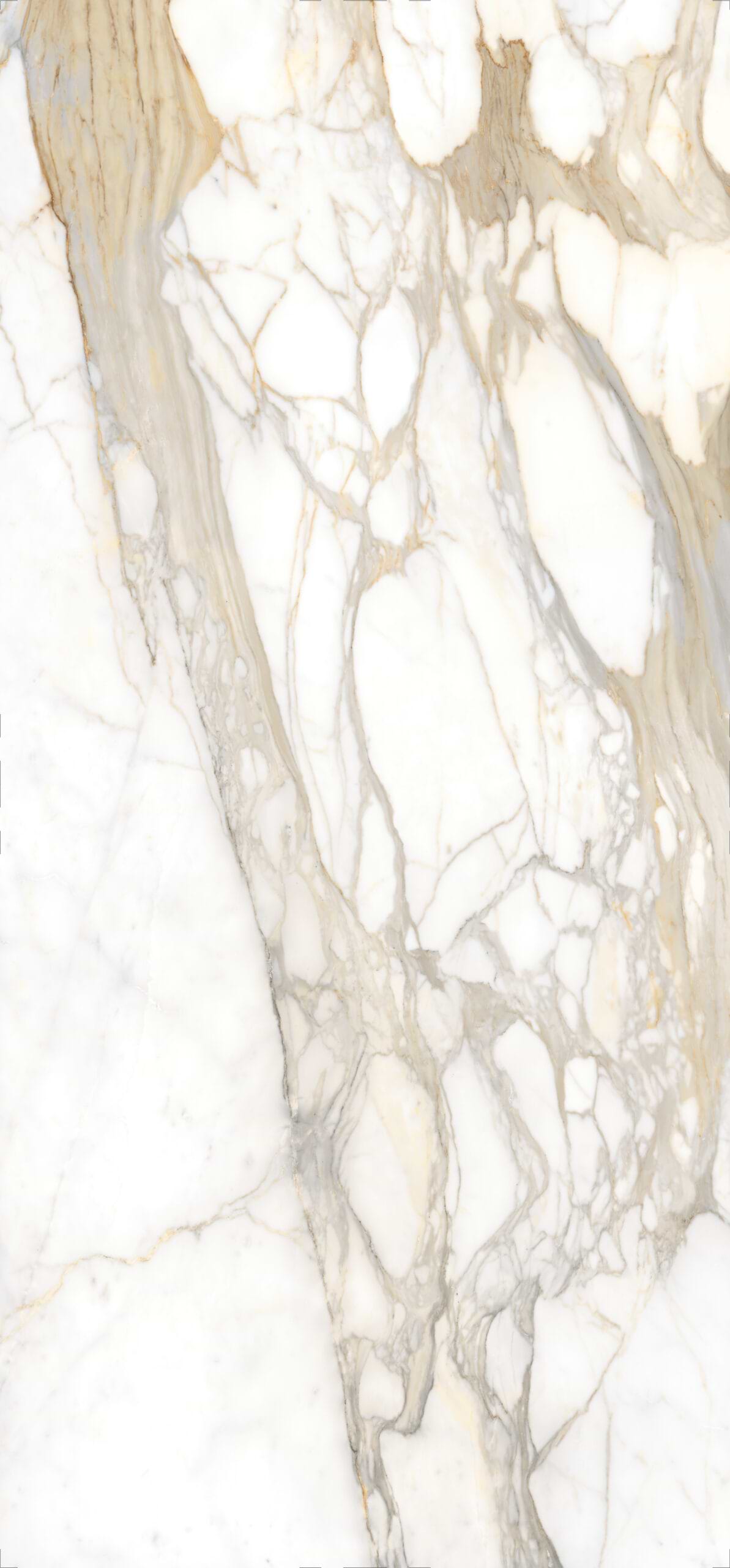 Bernini Oro Polished Porcelain Slab - Porcetops
