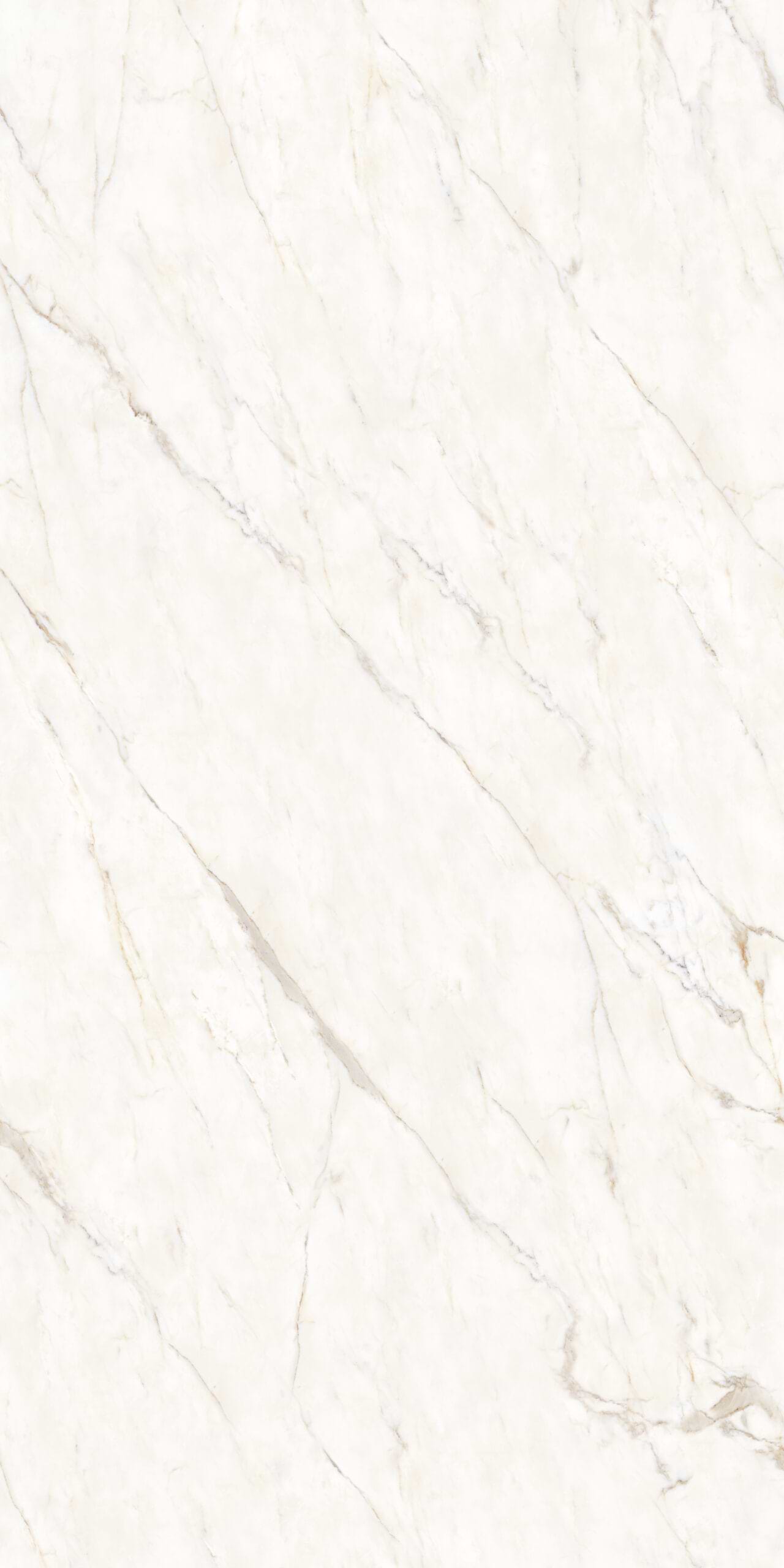 Calacatta Oro Matte Porcelain Slab - Face 2