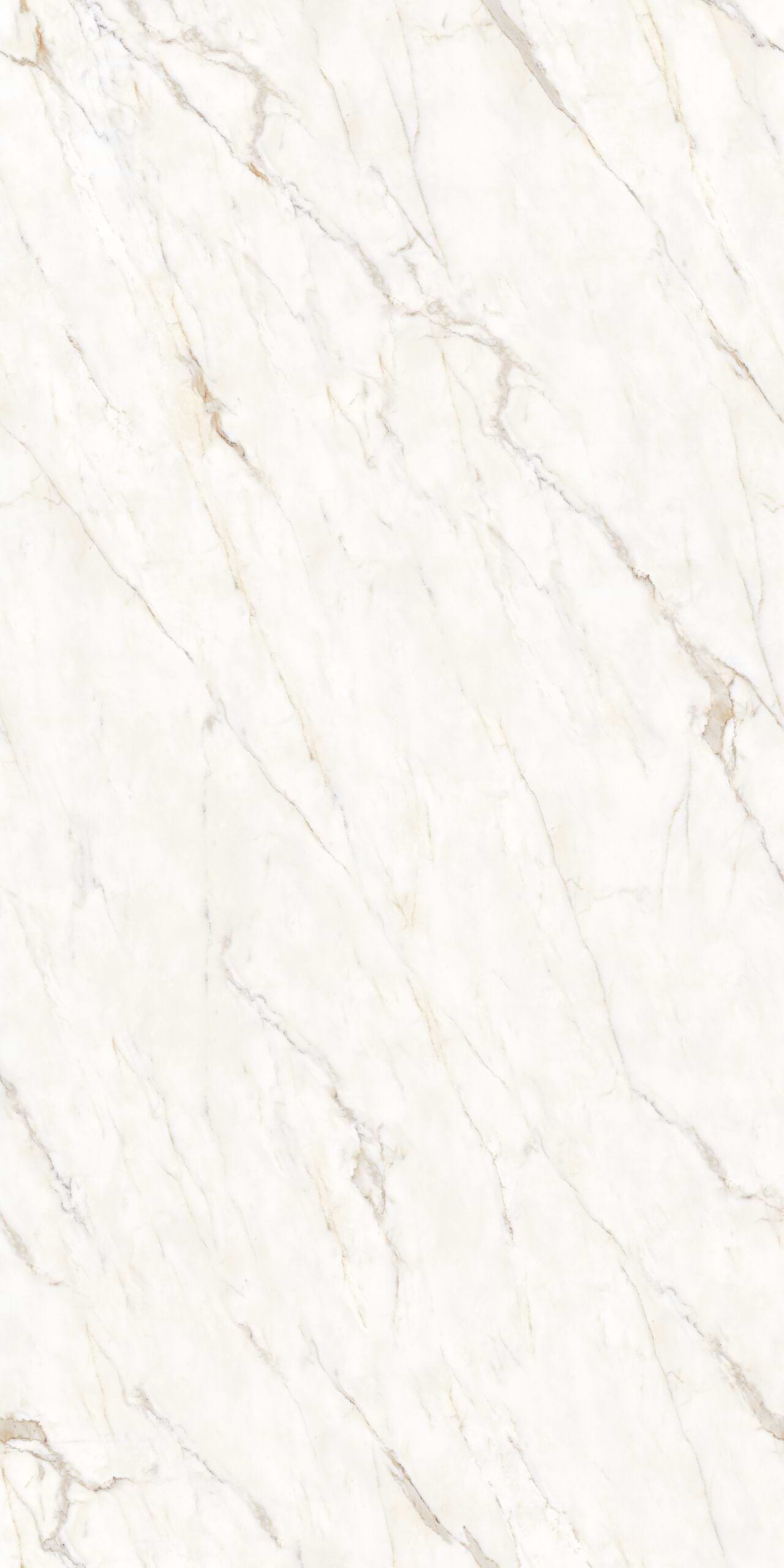 Calacatta Oro Matte Porcelain Slab - Face 4