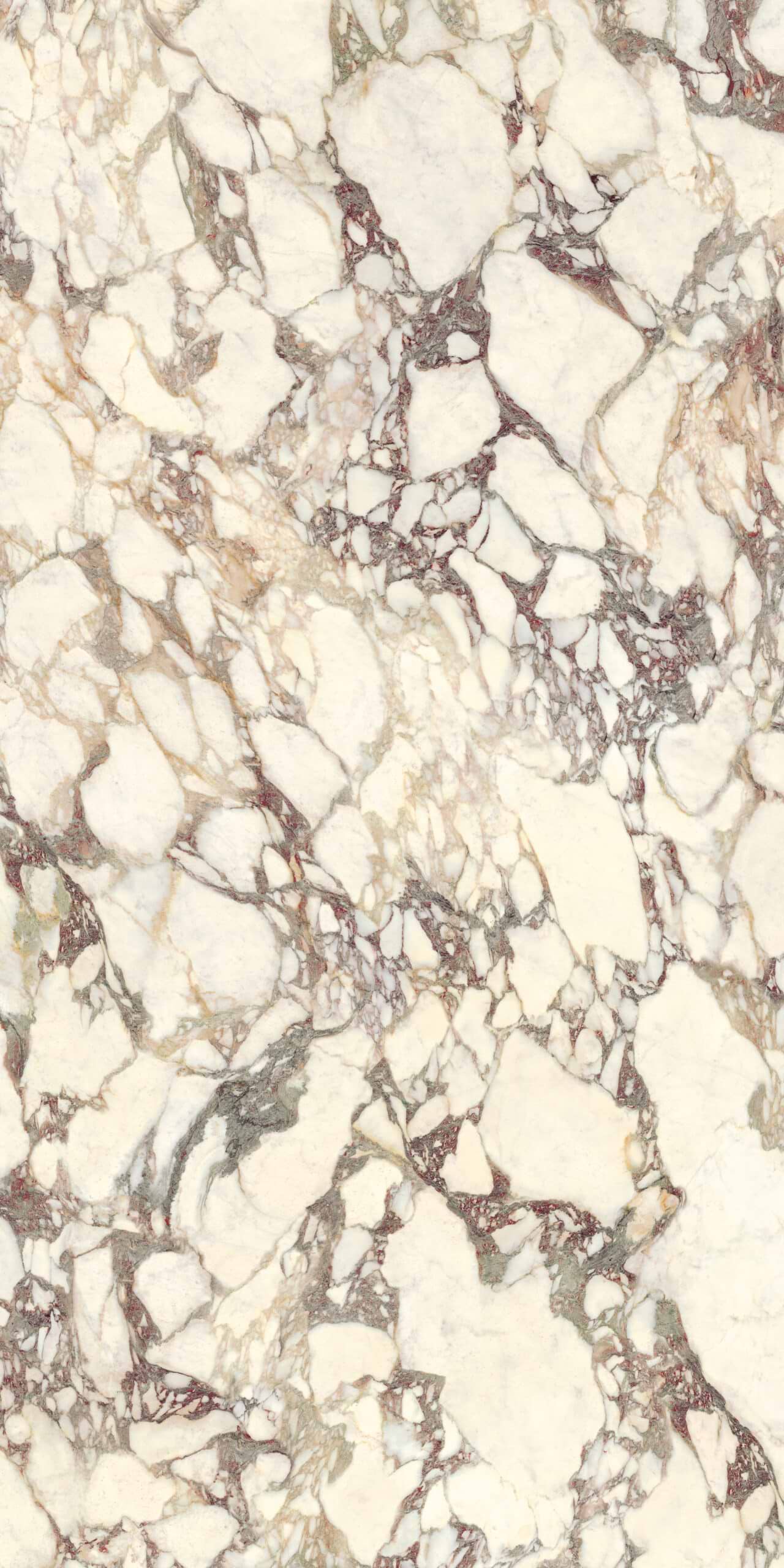 Calacatta Viola Lucidato Polished Porcelain Slab - Porcetops
