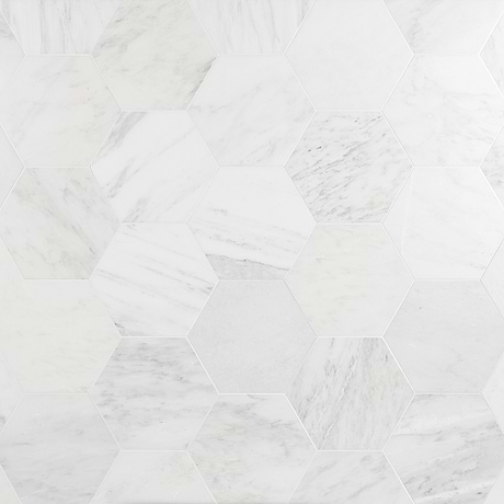 Asian Statuary White 10" Hexagon Honed Marble Tile