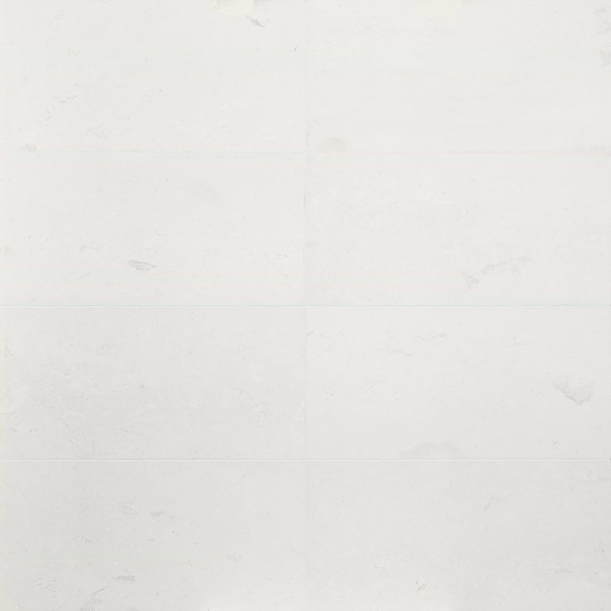 CORINTHIAN WHITE White 12x24 Honed Limestone Tile